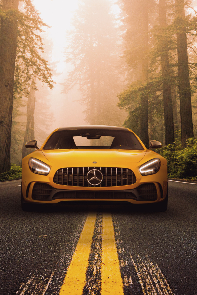 Автомобиль Mercedes-Benz AMG GT R на трассе в лесу