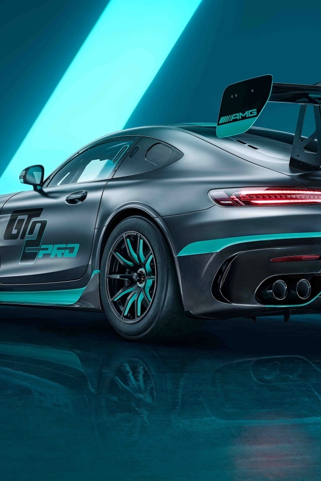 Вид сзади на гоночный автомобиль Mercedes-AMG GT2 PRO 2023 года
