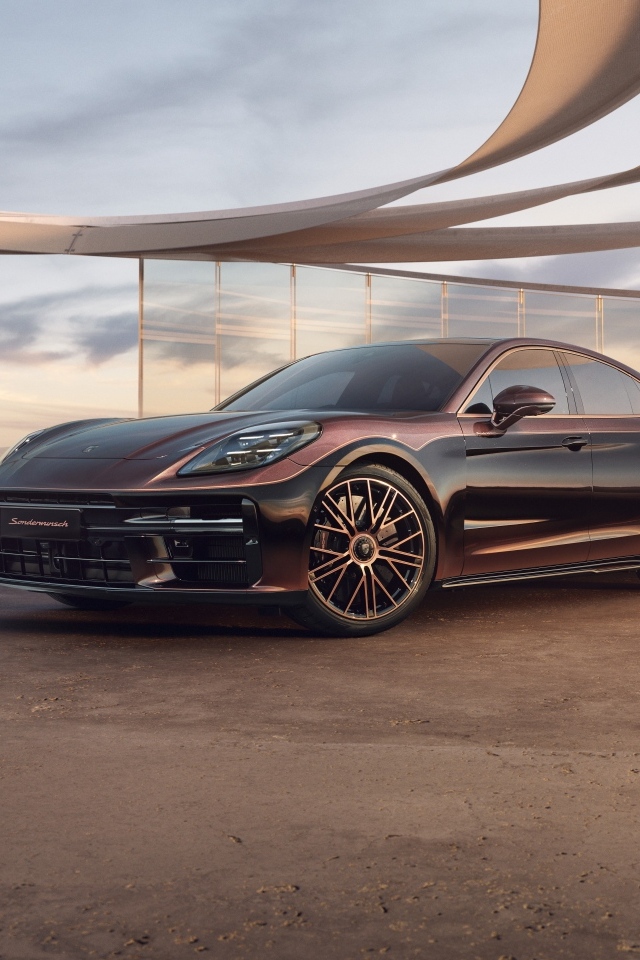 Автомобиль Porsche Panamera Turbo E-Hybrid Sonderwunsch 2024 года