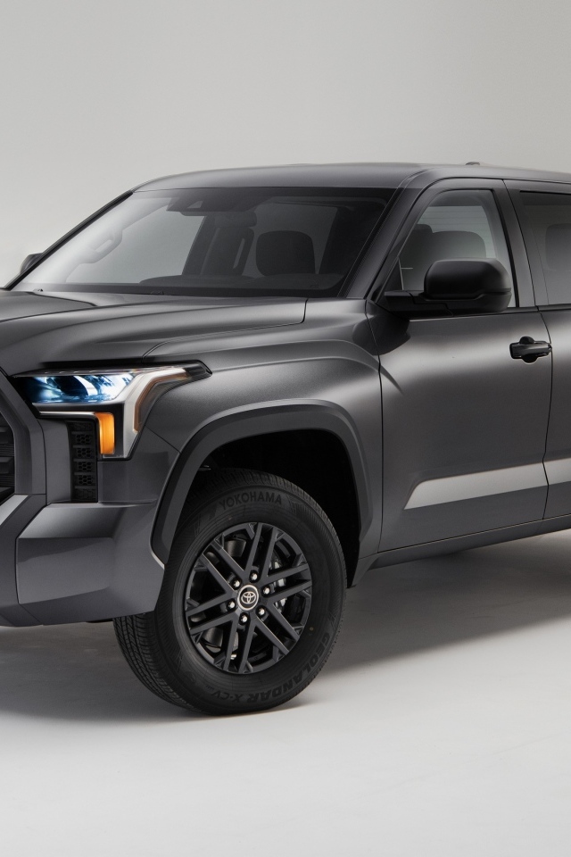 Пикап Toyota Tundra SR5 SX 2023 года