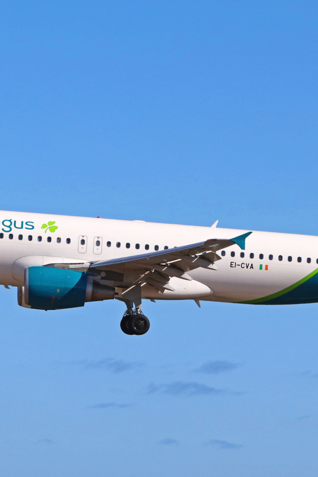 Пассажирский аэробус A 320-214,  авиакомпании Aer Lingus