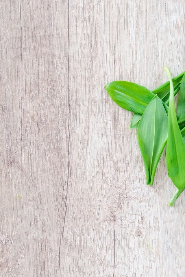 Пучок зеленых листьев на деревянной поверхности 