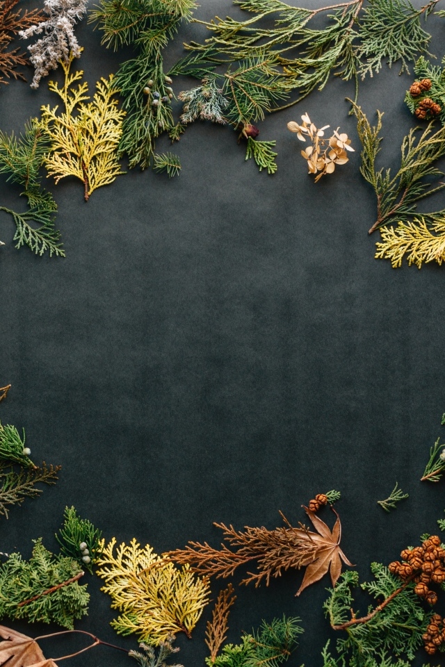 Серый фон с растениями