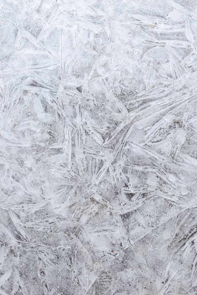 Стена покрашена белой краской для фона