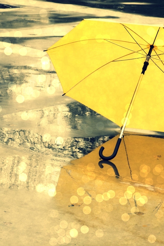 Желтый зонт лежит на мокром асфальте