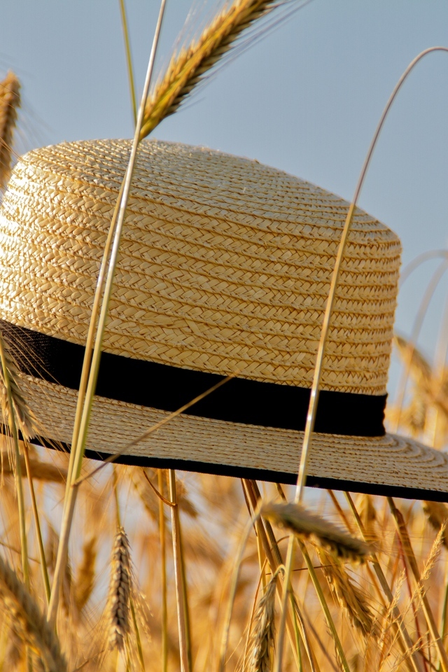 Соломенная шляпа на поле с пшеницей