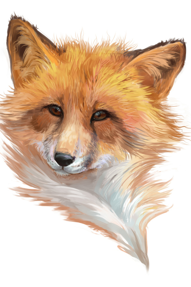 Нарисованная морда лисы на белом фоне