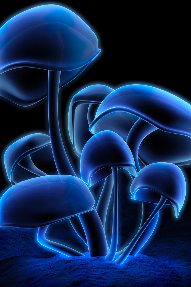 Blue glowing mushrooms on a black background
