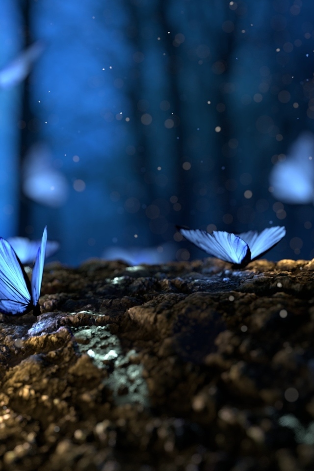 Волшебные голубые бабочки летают в лесу над грибами