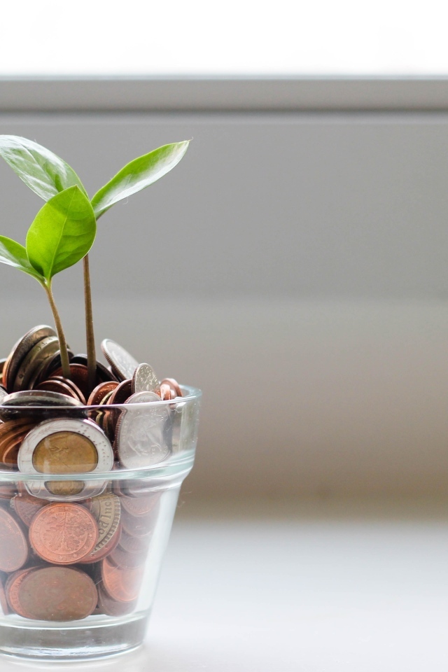 Денежное дерево с монетами в стакане
