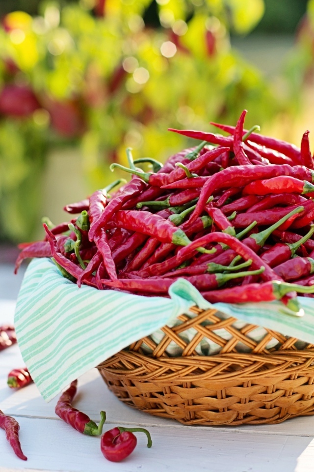 Много жгучего красного перца в корзине на столе