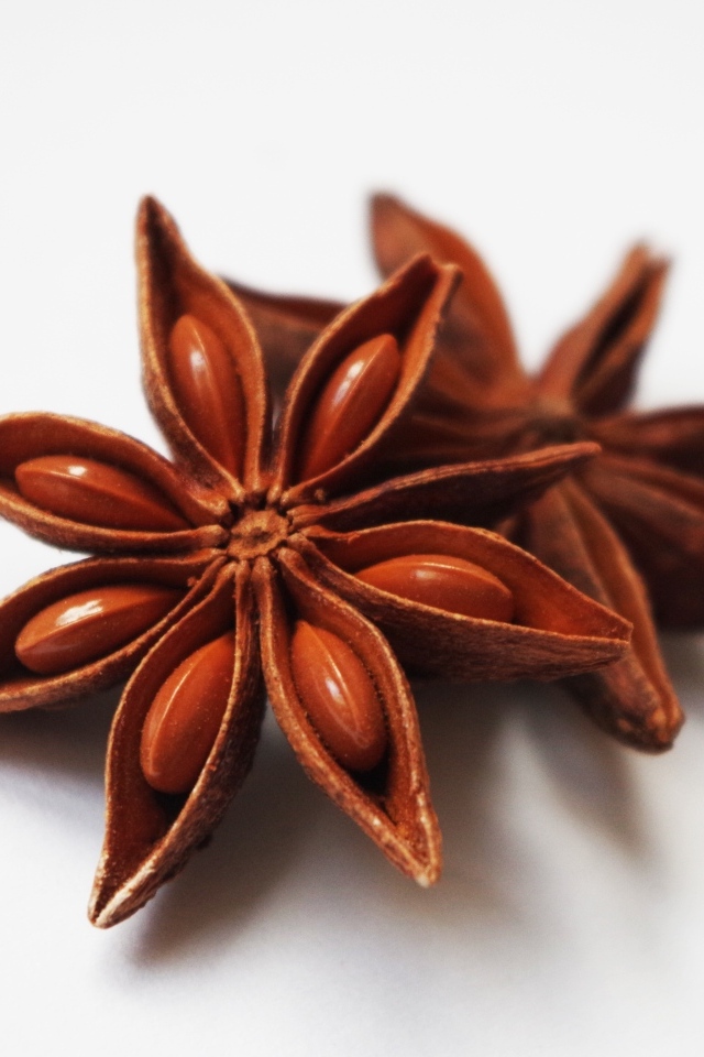 Звезды аниса на белом фоне