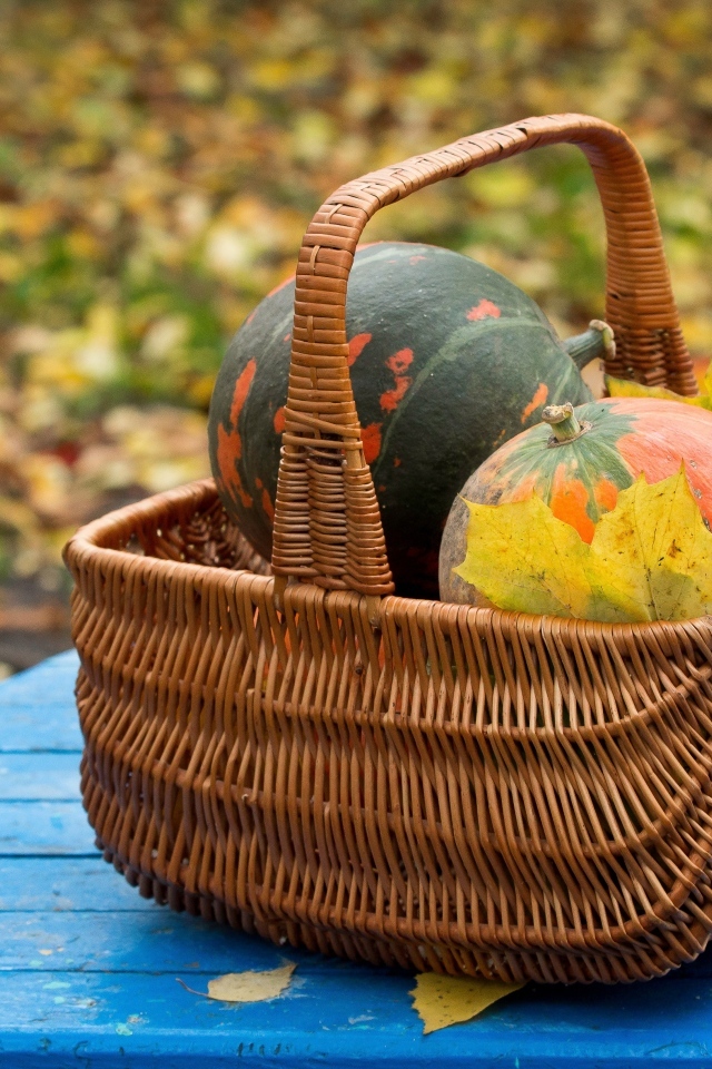 Корзина с тыквой осенью 