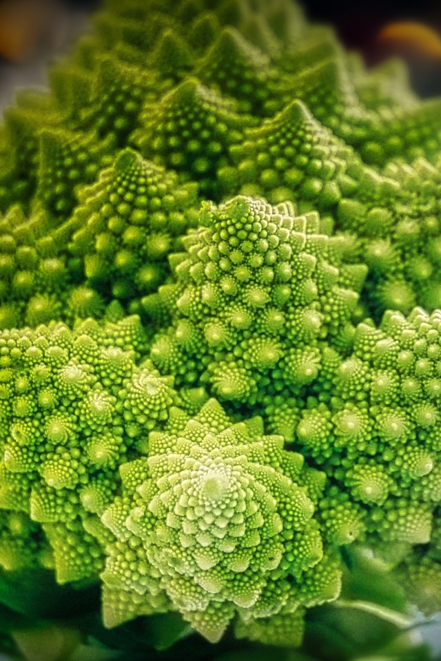 Красивая цветная капуста романеско