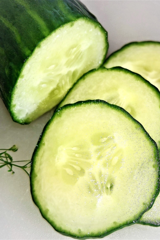 Большой свежий зеленый огурец на сером фоне