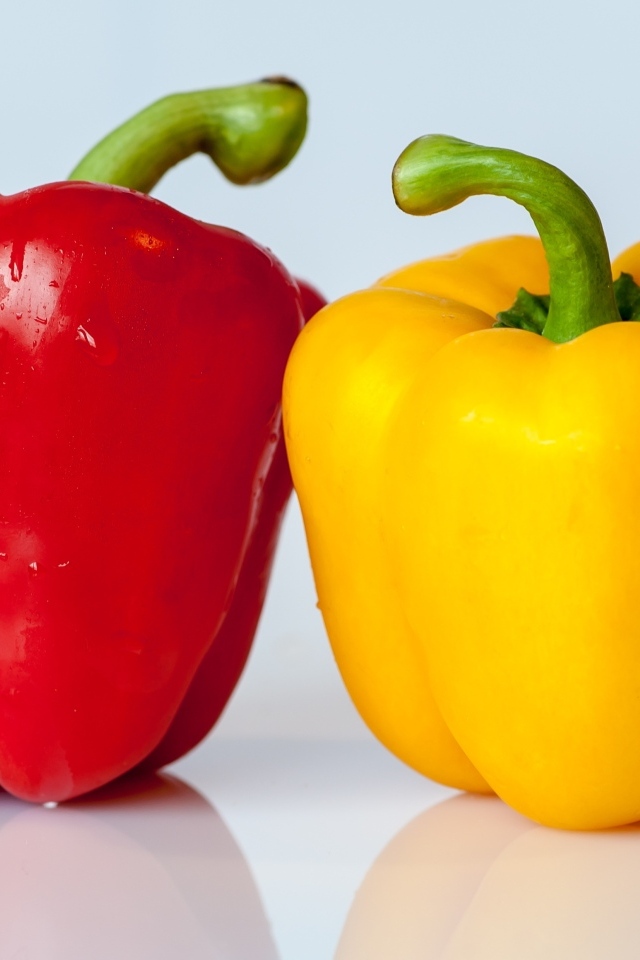 Большой красный и желтый перец на сером фоне