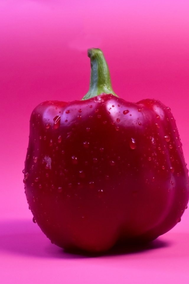 Большой красный перец на розовом фоне
