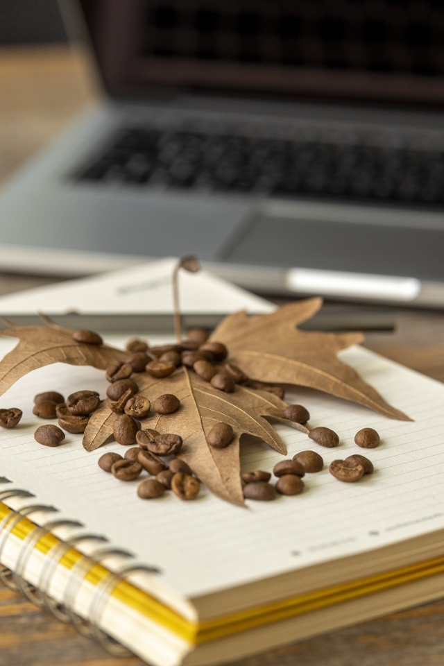 Зерна кофе с листом и блокнотом на столе