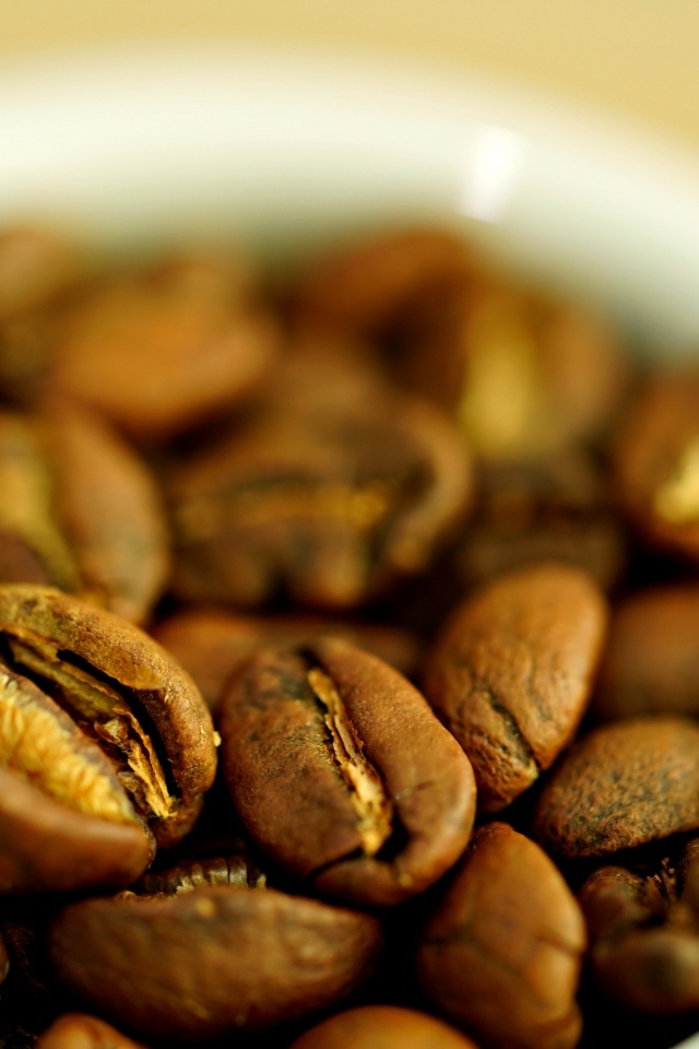 Зерна кофе с белой кружке вблизи