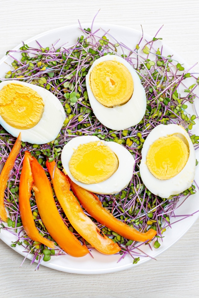 Яйца с кусочками сладкого перца и пророщенной зеленью