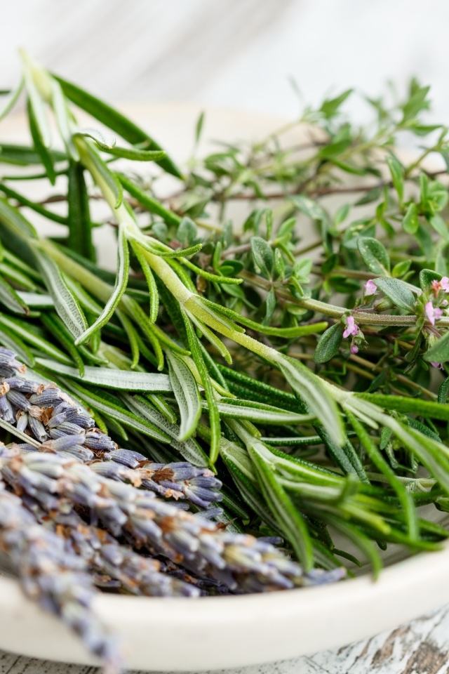 Ароматные пряные травы на столе