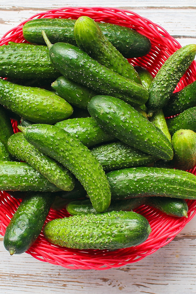 Свежие зеленые огурцы в корзинке на столе