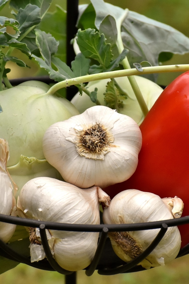 Чеснок, сладкий перец и корнеплоды в корзине