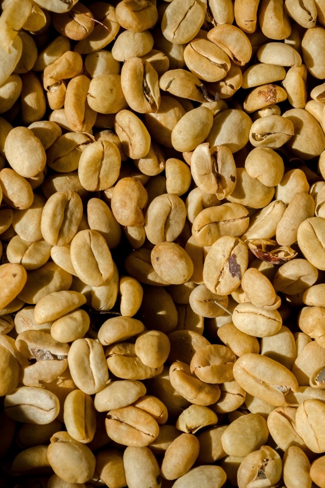 Зеленые ароматные зерна черного кофе