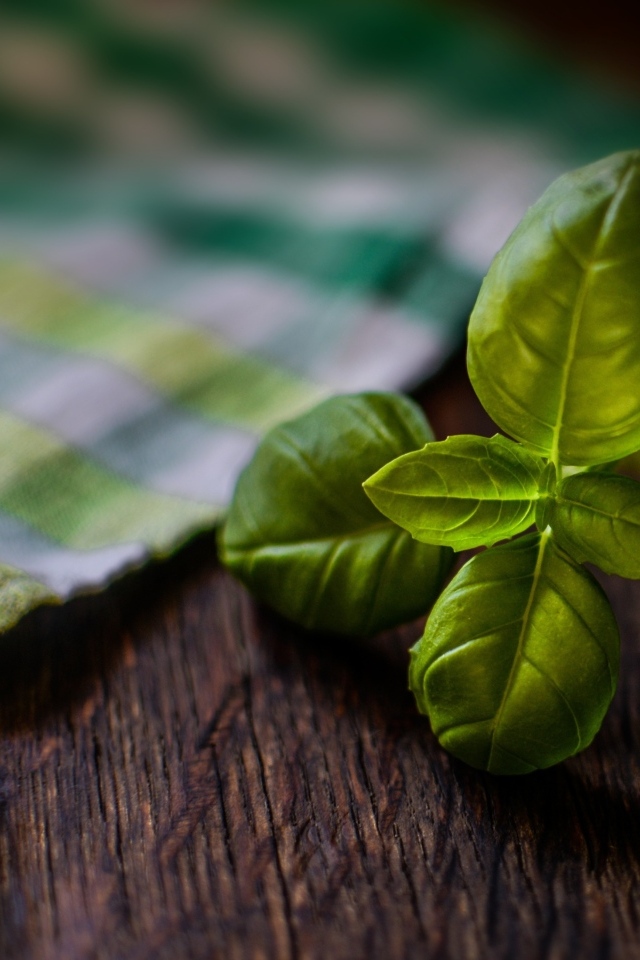 Зеленые листья базилика на столе с полотенцем