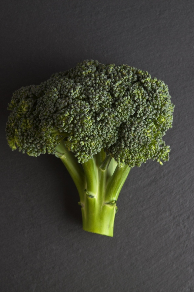 Зеленое брокколи на сером столе