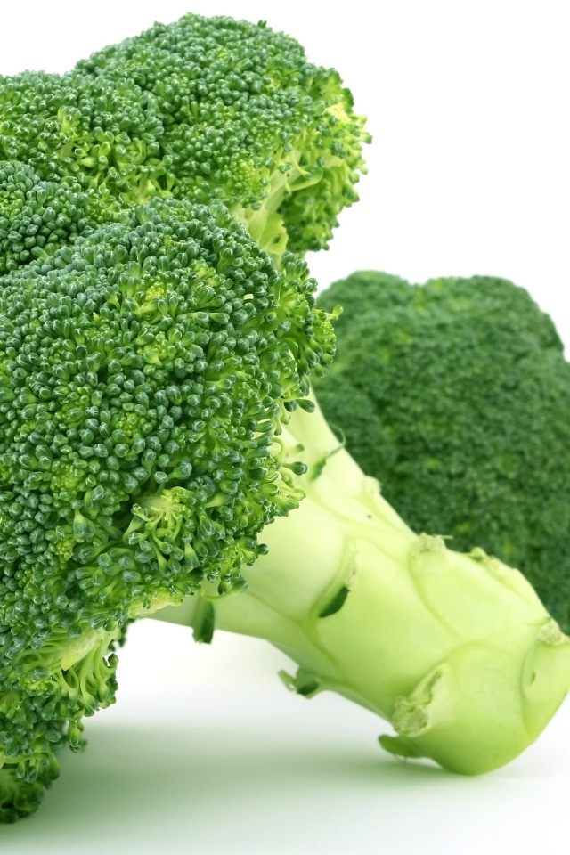Зеленое брокколи на белом фоне вблизи