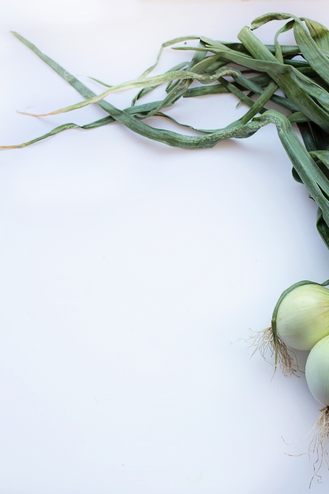 Зеленый лук на сером фоне