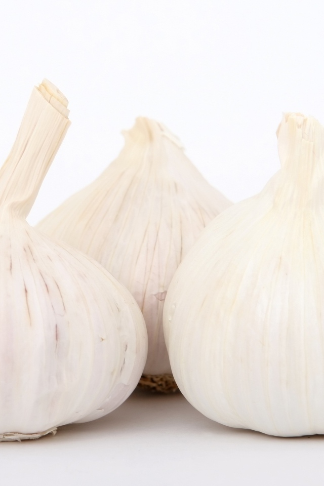Большой ароматный чеснок на белом фоне