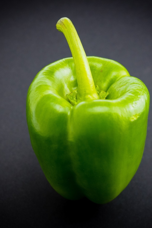 Большой зеленый перец на сером  фоне