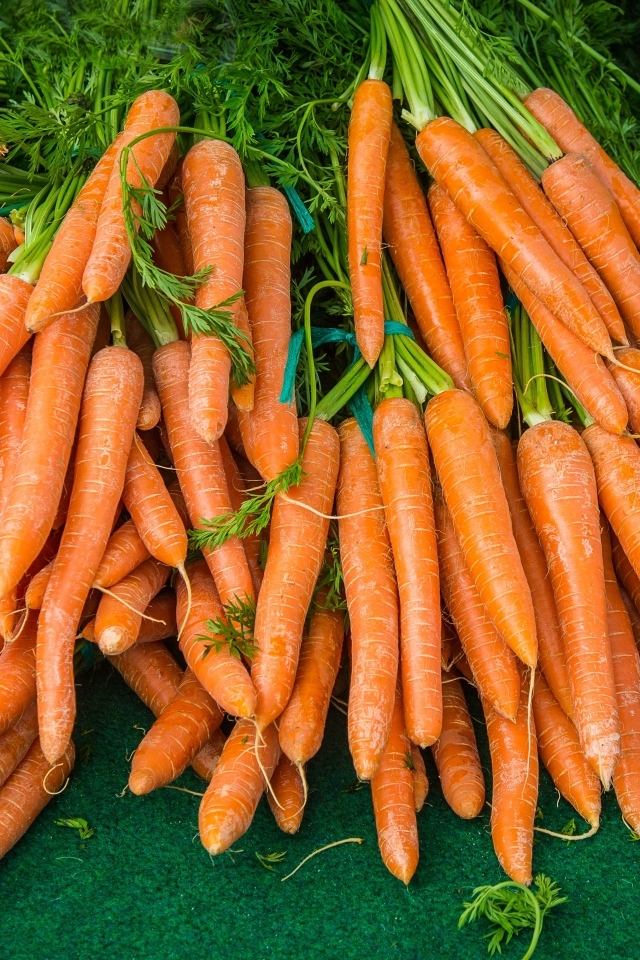 Много оранжевой моркови