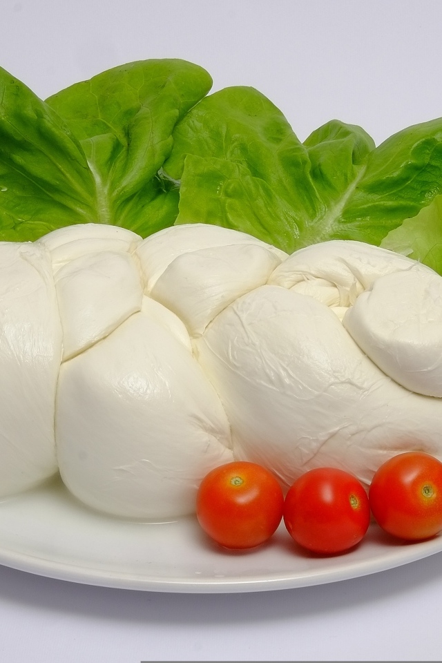 Сыр моцарелла на тарелке с листьями салата и помидорами