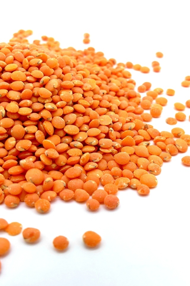 Оранжевая чечевица на белом фоне