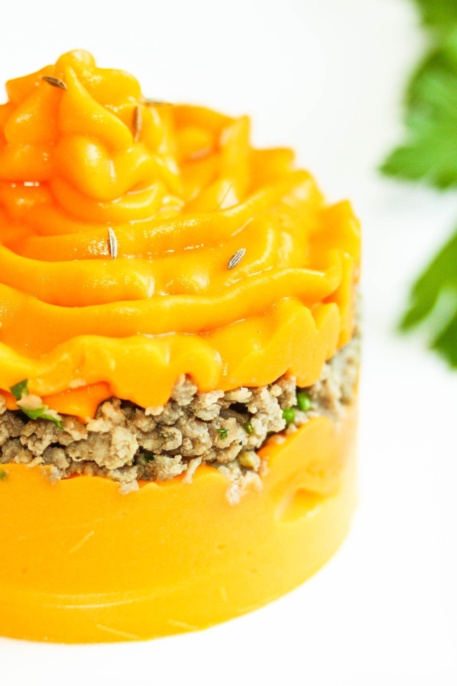 Тыквенное пюре с мясом на тарелке