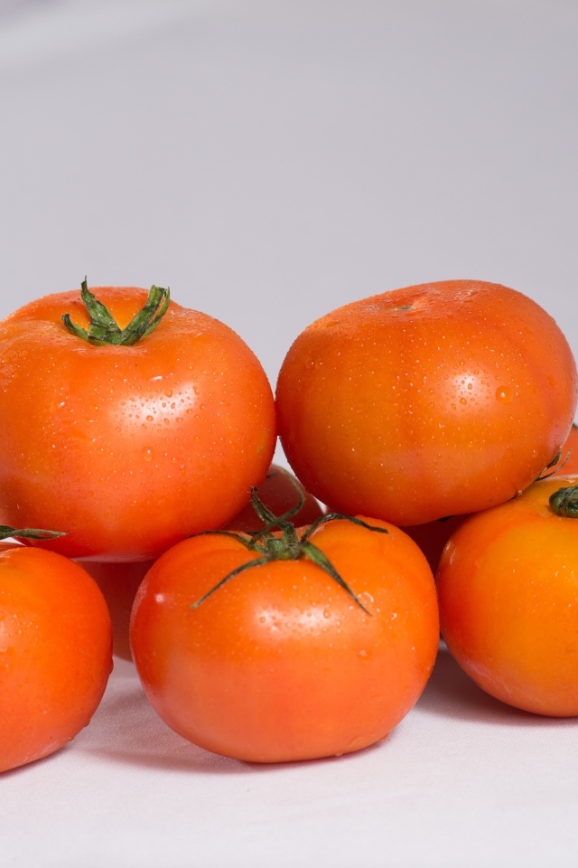 Спелые чистые красные помидоры