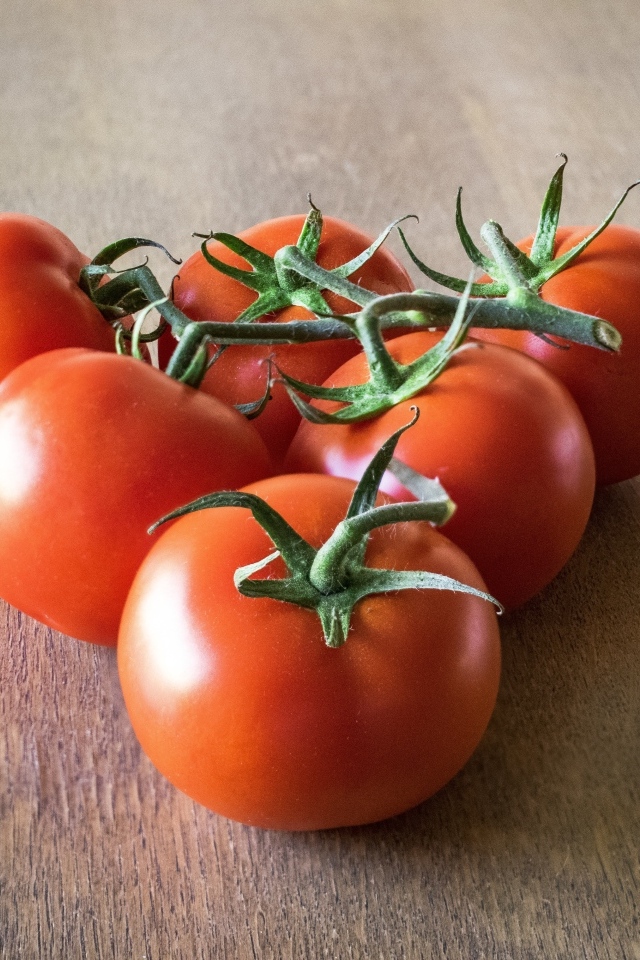 Спелые вкусные круглые красные помидоры