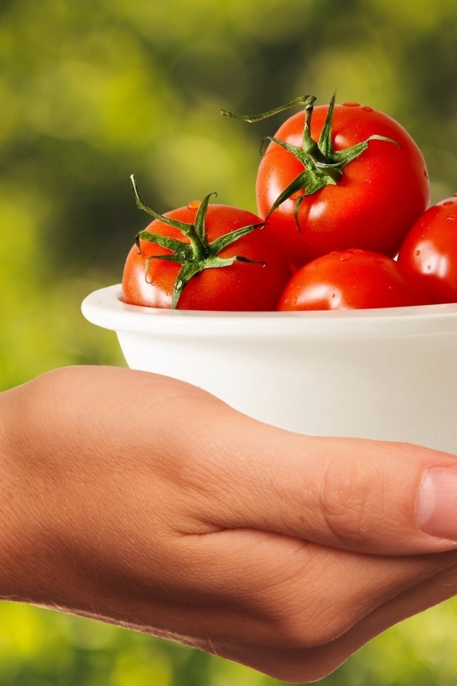 Спелые томаты в белой тарелке на руке