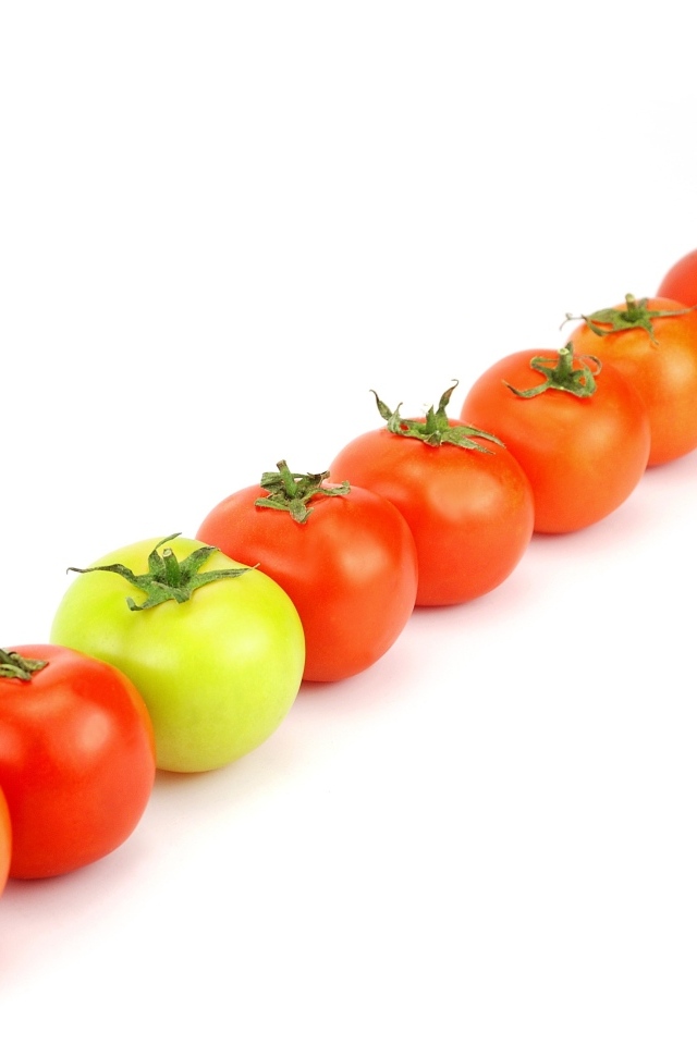 Ряд из помидоров на белом фоне