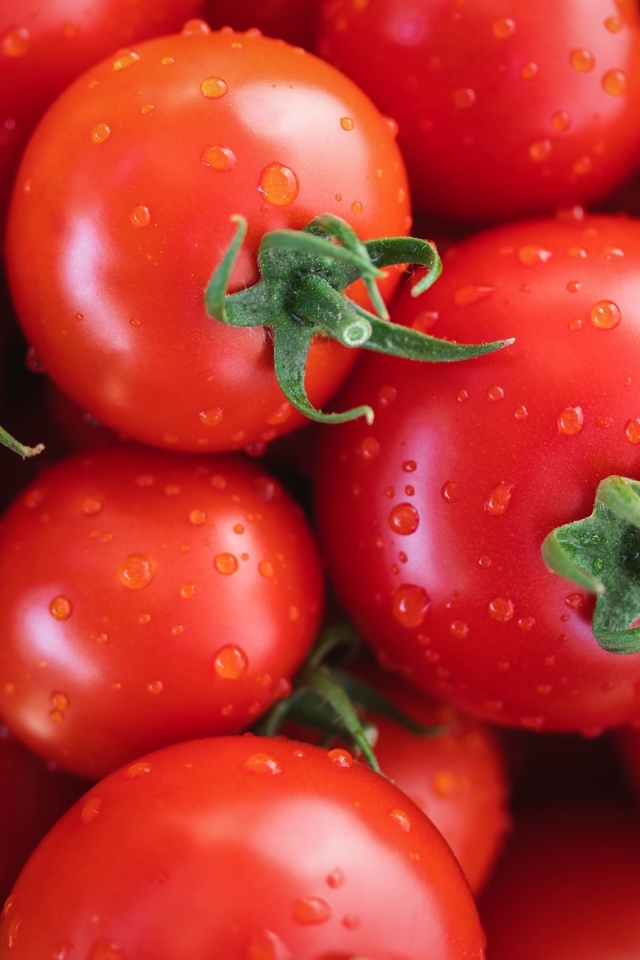 Мокрые чистые красные помидоры крупным планом