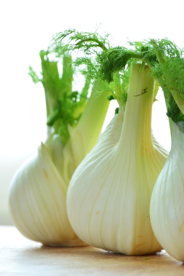 Белые луковицы фенхеля на столе