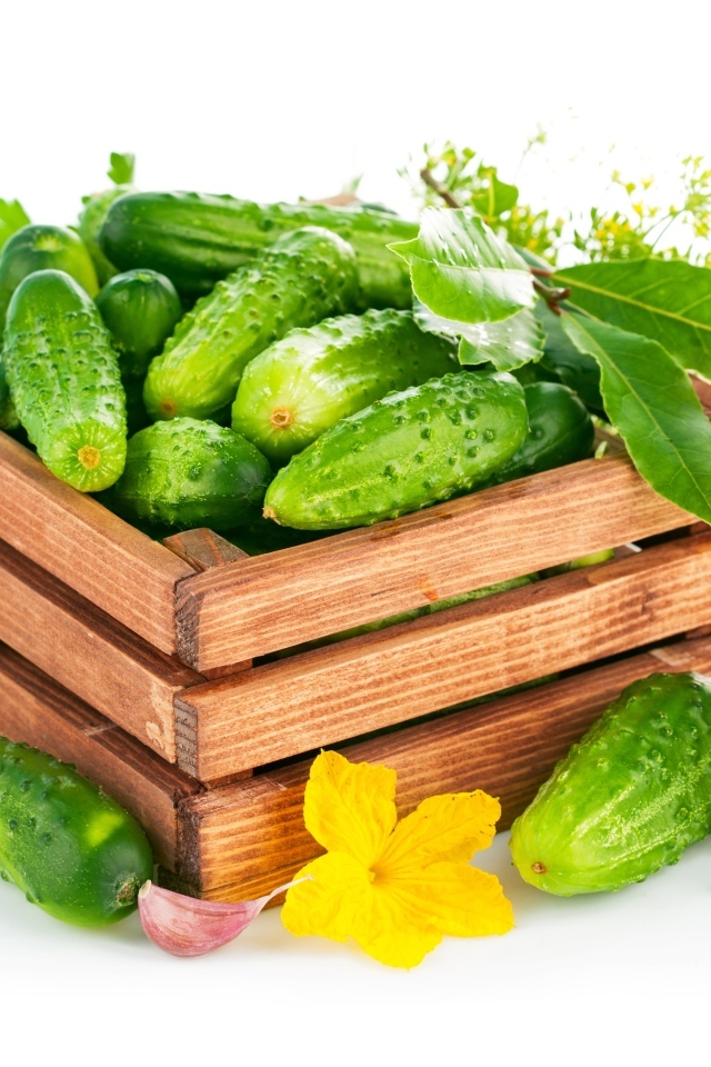 Деревянный ящик с зелеными огурцами и пряностями