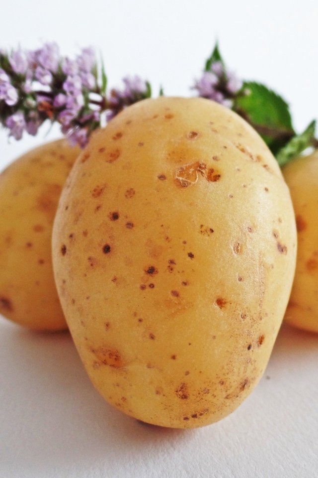 Молодой картофель с цветами мяты