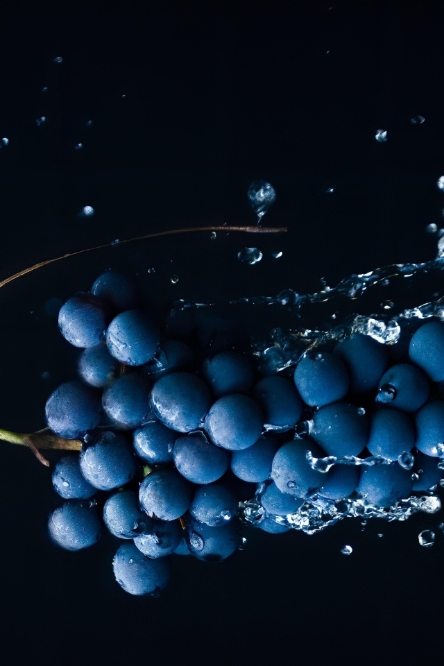 Гроздь синего винограда в брызгах воды на черном фоне
