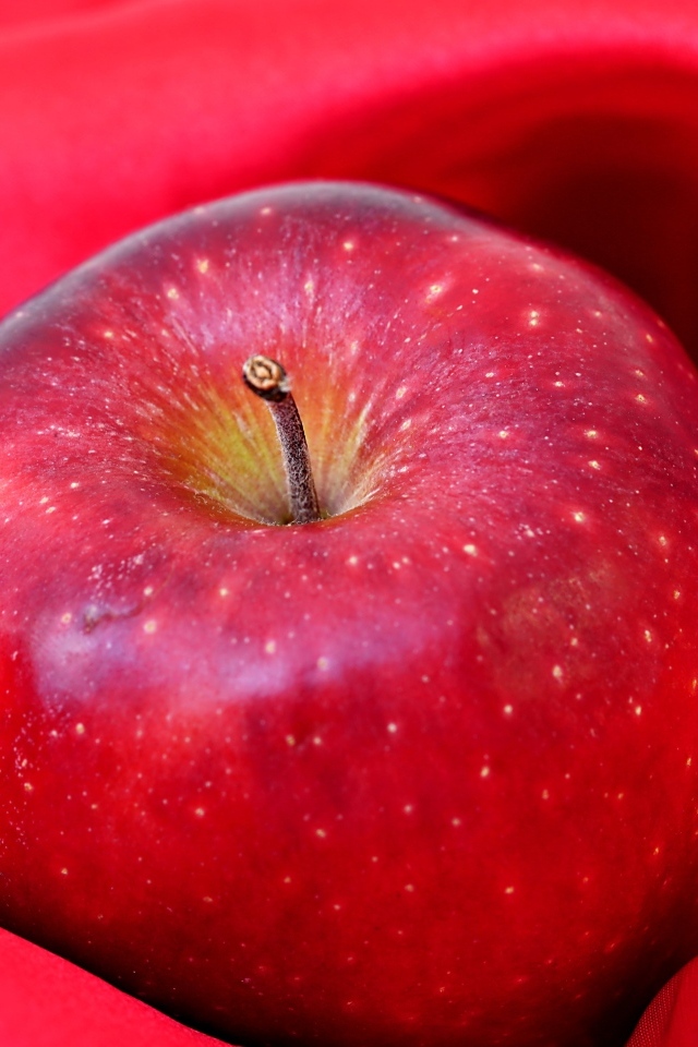Большое красное яблоко лежит на ткани