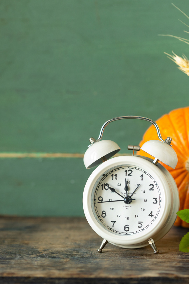 Будильник на столе с тыквой и ягодами рябины