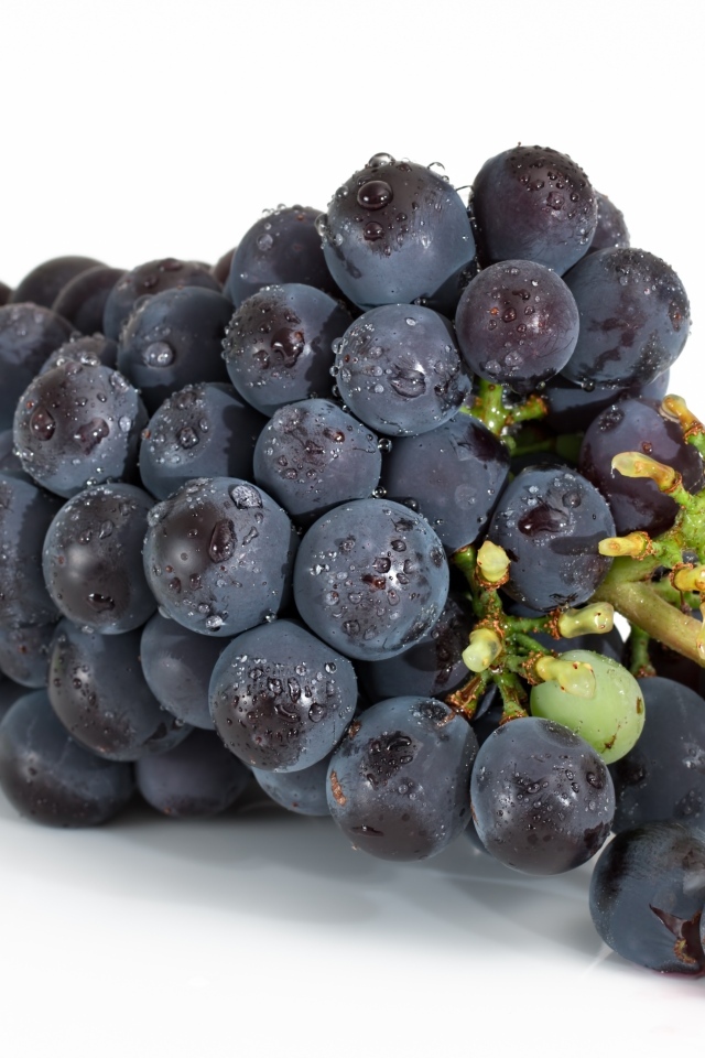 Большая гроздь синего винограда на белом фоне